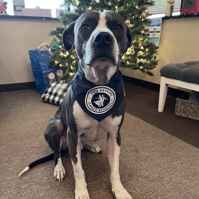 Bosco
