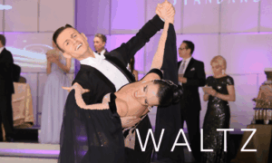 Waltz 1 - - Dance Studio In Hartsdale