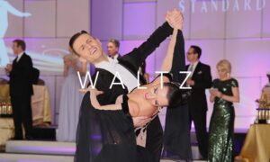 Types Of Dance 26 Waltz - Ballroom Dancing For Seniors